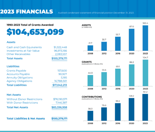 2023 financial statement_online